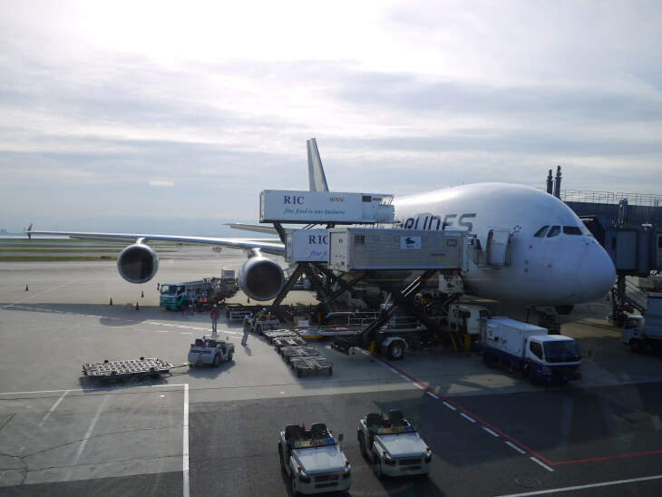 SQ619便(A380-800)画像
