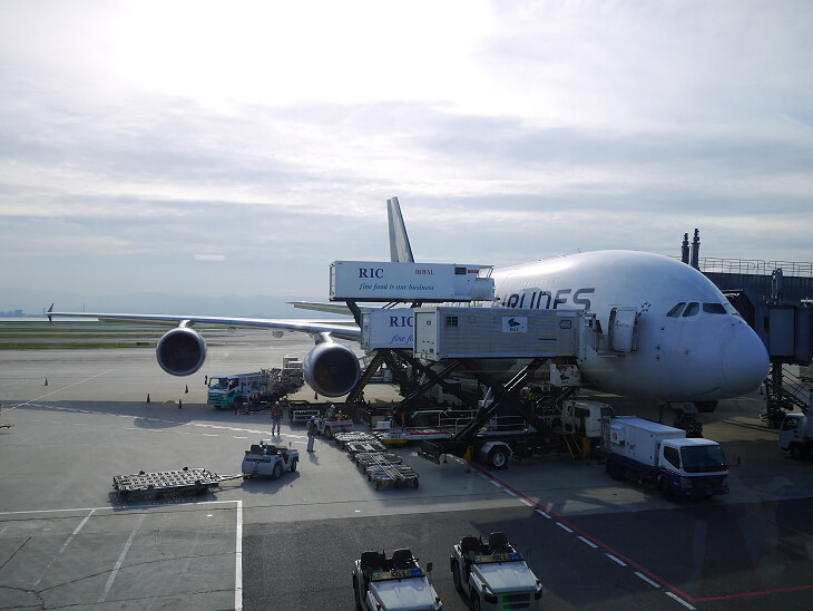 SQ619便(A380-800)画像